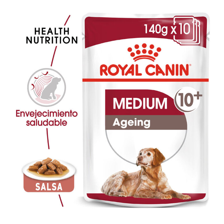 Royal Canin Adult +10 Medium saqueta em molho para cães - Pack 6, , large image number null